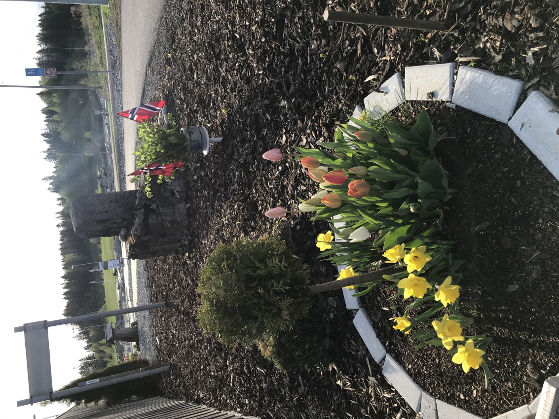 Lions Club Frogner pyntet til 17. mai