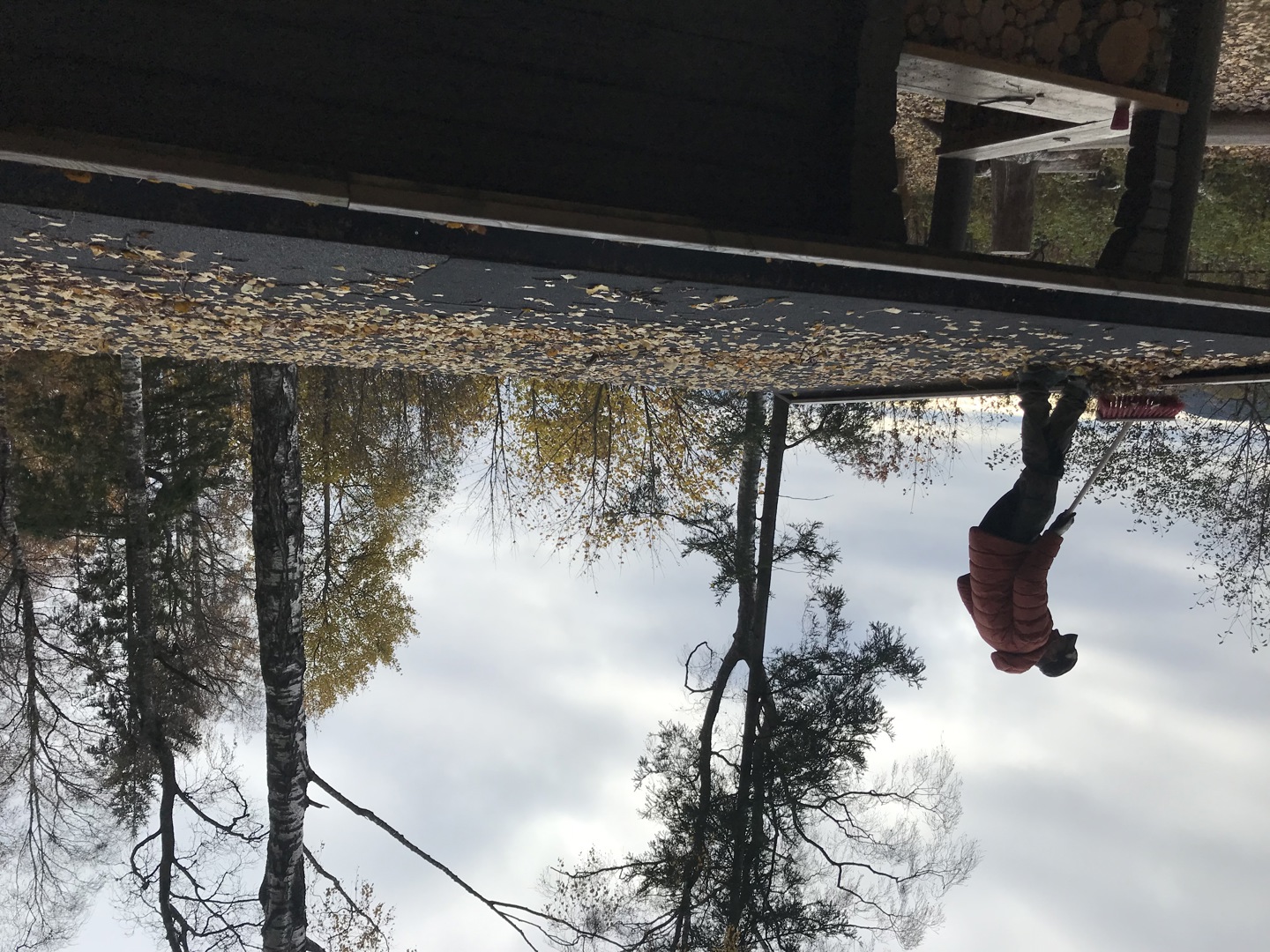 Halloween i Lerkeskogen